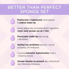 Better Than Perfect Sponge Set