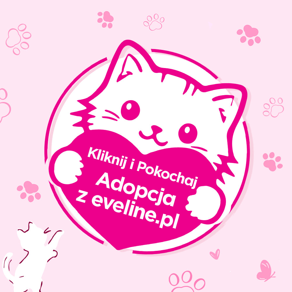 Kliknij i Pokochaj - Adopcja kotów z eveline.pl